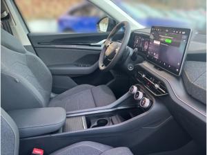 Skoda Kodiaq 2.0 TDI DSG Selection *AHK*KOMFORT*LICHT&SICHT*