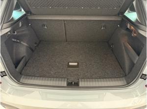 Skoda Kamiq 1.0 TSI DSG Monte Carlo *AHK*