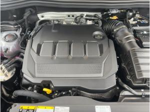 Volkswagen Tiguan R-Line 2,0 l TDI SCR 4MOTION DSG
