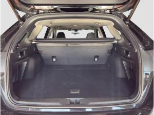 Subaru OUTBACK 2.5i Platinum Leder Memory Sitze LED Kurvenlicht Sperrdiff. ACC El. Heckklappe