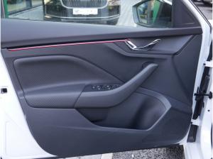 Skoda Kamiq 1.5 TSI DSG Monte Carlo PANO MATRIX-LED *814*