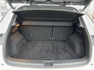 Renault Austral 1.3 TCE 160 Techno SHZ PDC