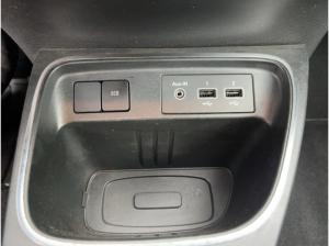 Renault Twingo INTENS ELECTRIC 22 kWh BATTERIEKAUF