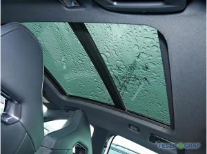 Cupra Formentor VZ Black Edition PANO,AHK,NAVI