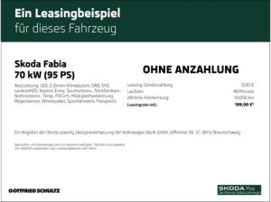 Skoda Fabia Selection Winter-Paket Licht- und Sicht-Paket