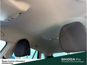 Skoda Scala Tour TSI DSG Infotainment-Paket Ausstattungs-Paket: Black