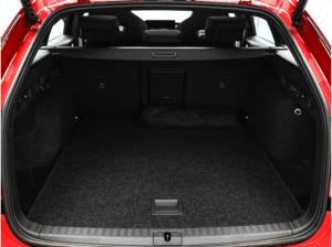 Skoda Octavia Combi RS 2.0 TSI AHK Pano CANTON Winter