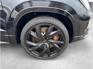 Cupra Ateca VZ Tribe Edition Business ❗️gewerblich❗️