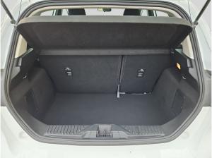 Ford Fiesta Sofort verfügbar*Haustürlieferung