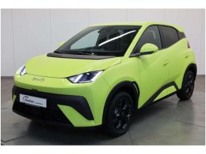 BYD DOLPHIN SURF Dolphin Surf Comfort