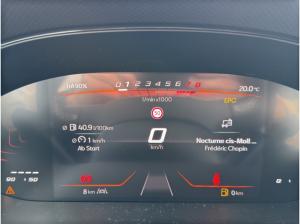 Seat Ibiza Road Edition