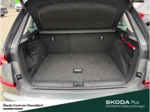 Skoda Kamiq Tour TSI DSG Fahrassistenz-Paket Infotainment-Paket