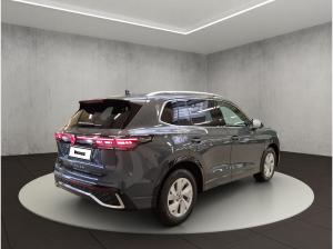 Volkswagen Tiguan R-Line 2,0 l TDI (150 PS) 7-Gang-DSG ⚡️sofort verfügbar⚡️ Winterkompletträder - Lederausstattung  -