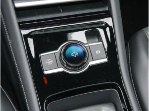 Volkswagen Tiguan R-Line 2.0 TSI AHK Kamera Pano DCC