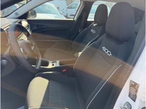 Fiat 600 Hybrid Business Edition Allwetter