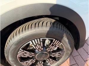 Fiat 600 Hybrid Business Edition Allwetter