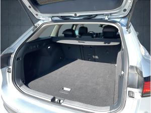 Volkswagen Passat Business /AHK /IQ-DRIVE