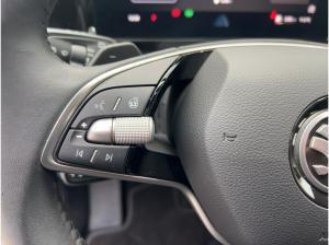 Skoda Kodiaq 2.0 TDI 4x4 Selection DSG AHK Kamera