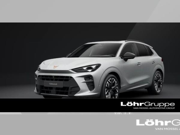 Cupra Terramar VZ 2.0 TSI Business-Paket, Drive-Paket, Skyline-Paket