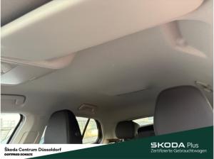 Skoda Fabia Selection Winter-Paket Licht- und Sicht-Paket