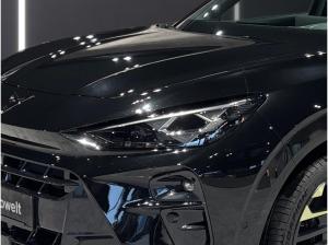 Cupra Terramar Tribe Edition VZ 1.5 e-Hybrid MATRIX PANO AHK 360Grad Head-Up