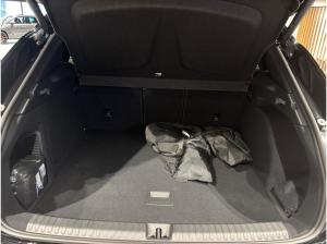 Cupra Terramar Tribe Edition VZ 1.5 e-Hybrid MATRIX PANO AHK 360Grad Head-Up