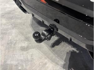 Cupra Terramar Tribe Edition VZ 1.5 e-Hybrid MATRIX PANO AHK 360Grad Head-Up