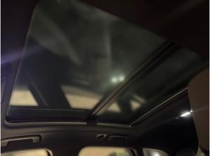 Cupra Terramar Tribe Edition VZ 1.5 e-Hybrid MATRIX PANO AHK 360Grad Head-Up