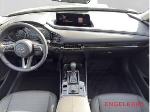 Mazda CX-30 Homura 2WD HUD Navi LED ACC El. Heckklappe Apple CarPlay Android Auto Klimaautom