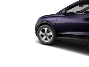 Audi Q4 e-tron Q4 Sportback 45 e-tron qu. 0,25%*Matrix*AHK*RFK