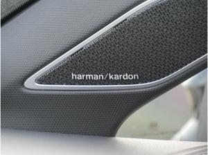 Volkswagen Golf R-Line 1,5 l eTSI AHK Kamera HarmanKardon Navi