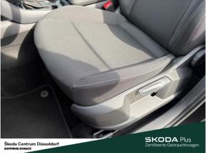 Skoda Karoq Tour TDI DSG AHK Infotainment-Paket Amundsen Schließ-/Startsystem Kessy