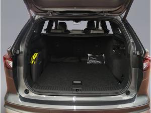 Skoda ENYAQ Enyaq 85 DSG Wärmepumpe AHK LED NAVI ACC