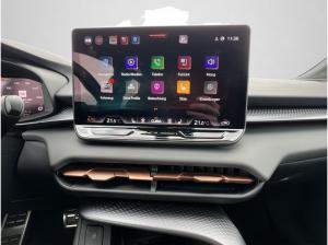 Cupra Terramar VZ 2.0 TSI PANO AHK 360°KAM MATRIX HUD