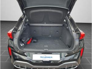 Cupra Terramar VZ 2.0 TSI PANO AHK 360°KAM MATRIX HUD