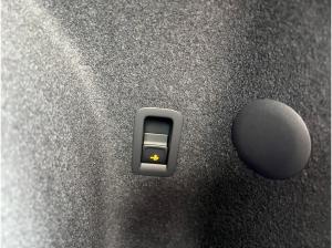 Cupra Terramar VZ 2.0 TSI PANO AHK 360°KAM MATRIX HUD