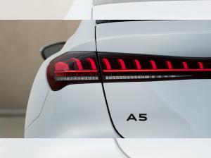 Audi A5 Avant TDI Tech Kamera Memory LED ACC PDC 18