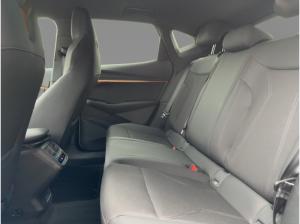 Cupra Tavascan Endurance Navi ACC CarPlay LED Wärmep.