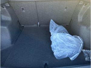 Cupra Tavascan Endurance