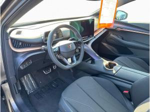 Cupra Tavascan Endurance