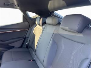 Cupra Tavascan Endurance