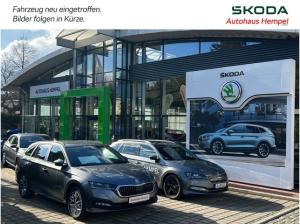 Skoda Kodiaq II 2.0 TSI DSG 4x4 RS mit AHZV Neu eingetroffen