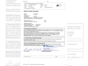 Volkswagen Passat Business /AHK /GANZJAHRESREIFEN