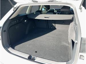 Volkswagen Passat Business /AHK /GANZJAHRESREIFEN