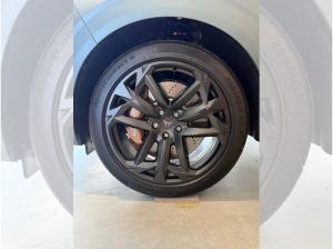 Cupra Terramar 🔥265 PS 🔥CUP Limited Edition🔥AHK🔥Business🔥VOLL🔥SOFORT VERFÜGBAR🔥