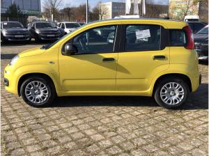 Fiat Panda /Pandina Bicolore | Bereitstellungskosten geschenkt 🎁 | Mit Einparkhilfe und Klimaanlage❗️