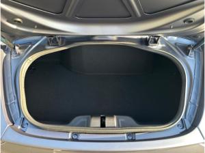 Alpine A110 GTS Aero-Paket*Ablage-Paket*18''GT-Race schwarz/satiniertes Finish*