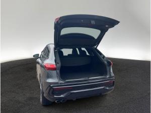 Audi Q5 TDI quattro S tronic S line Pano Standhzg