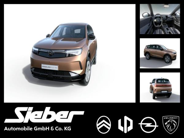 Opel Grandland Electric Edition 73 kWh Batterie