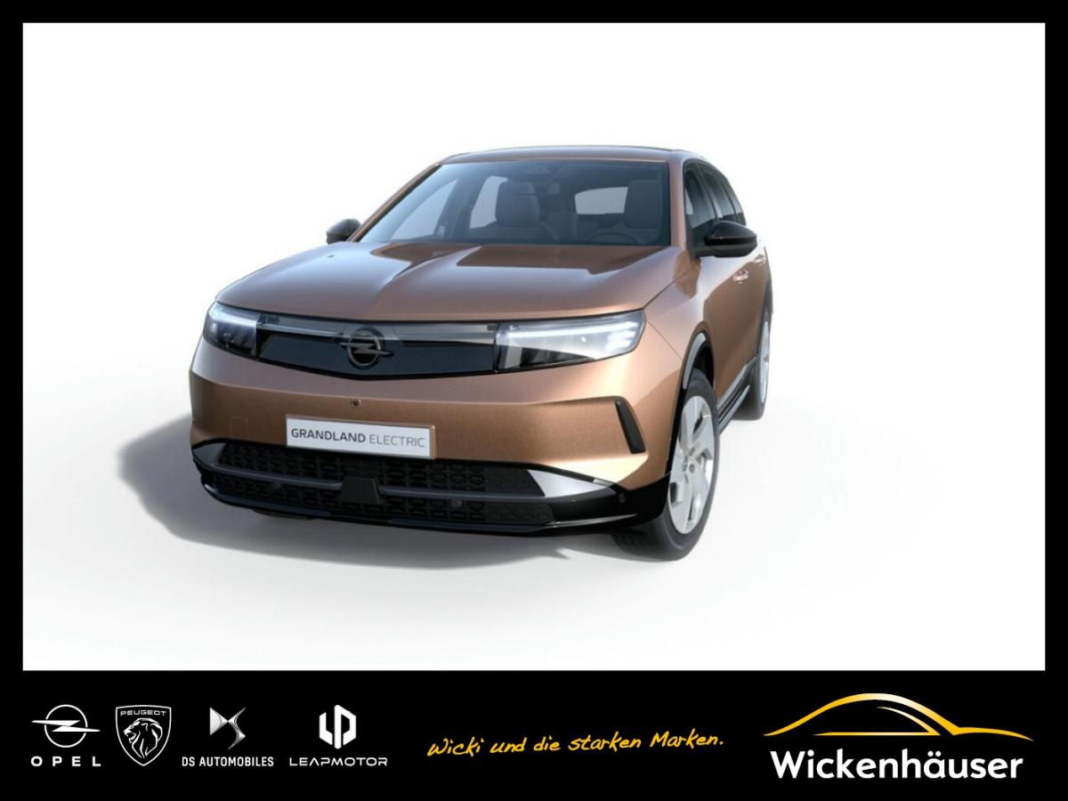 Opel Grandland Electric Edition 73 kWh Batterie